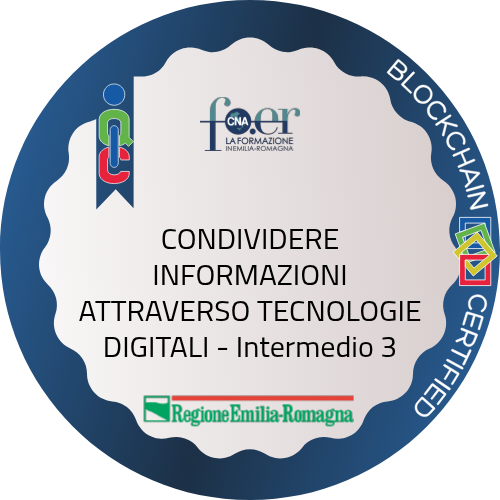 Badge pubblico 82699